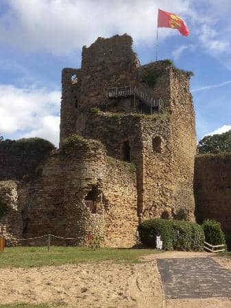 Panoramic Views from the Tower