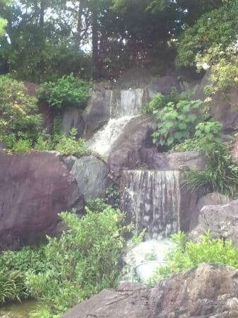 Koi Pond & Reflections