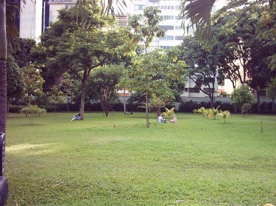 Lush Green Spaces