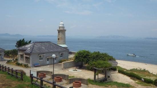 Friendly Feline Residents