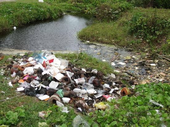 Lively Beachfront Cafes