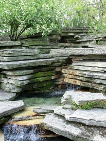 The Serene Lily Pool