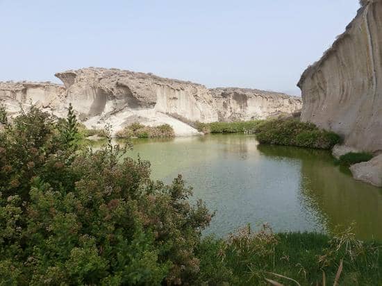 Biodiversity Hotspot