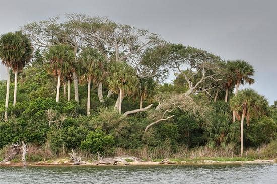 Birdwatching Paradise