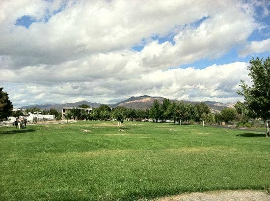 Pybus Public Market Proximity