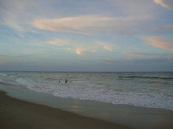 Vibrant Open-Air Market