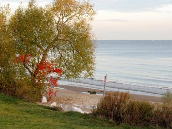 Autumn Foliage Drive