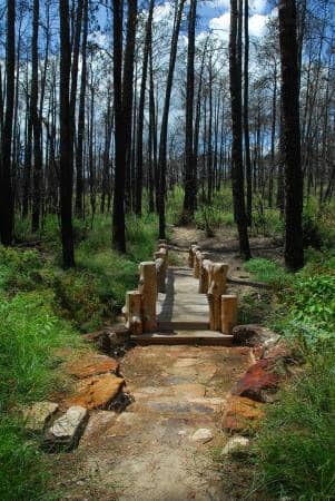 CCC Historic Structures