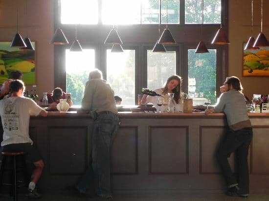 Live Music on the Lawn