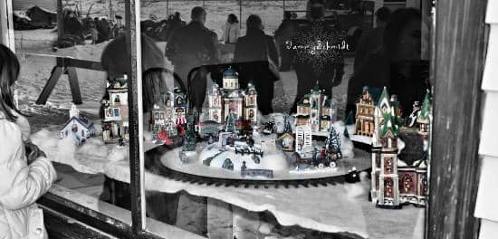 Dinosaur Discoveries