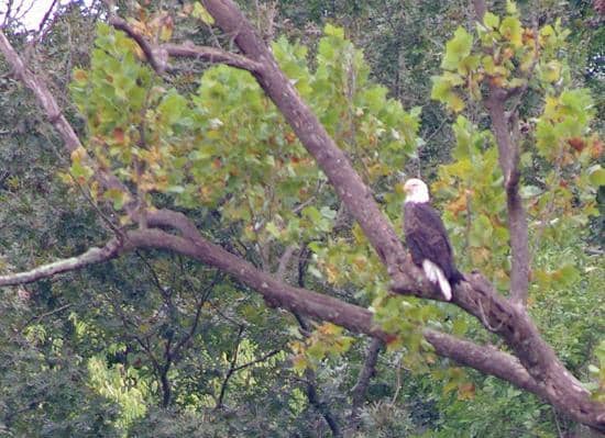 Boating & Water Sports