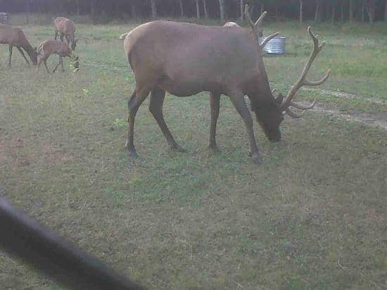 Boat Rentals & Launch