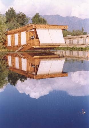 Peaceful Shikara Rides