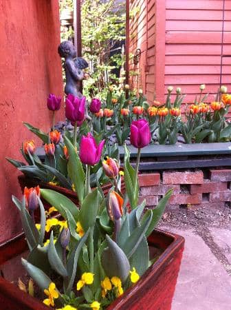 Allentown Art Festival