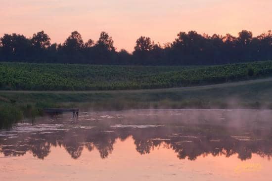 Special Events & Concerts