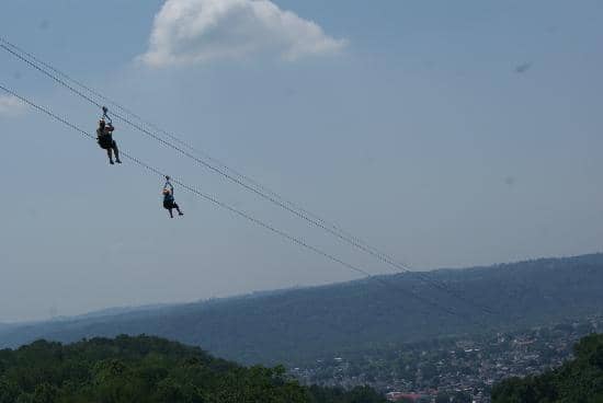 Treetop Villas & Cabins