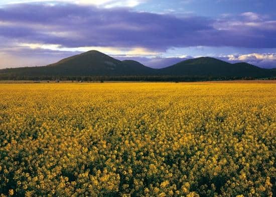 Flinders Peak