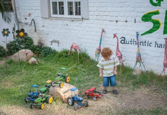 Curated Grounds Tour