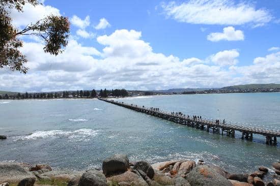 Whale & Dolphin Watching