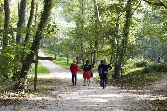 Panoramic Tower Views