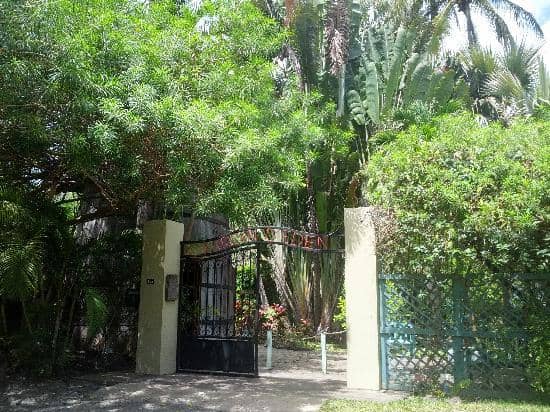 Exotic Geckos and Chameleons