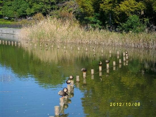 Sprawling Green Spaces