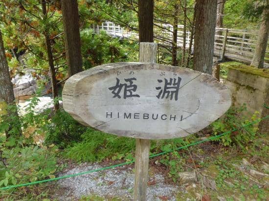 Scenic River and Waterfalls