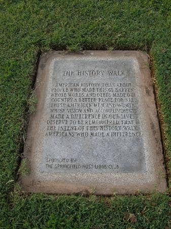 Serene Walking Paths