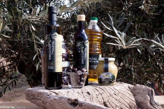 Wine Tasting Experience