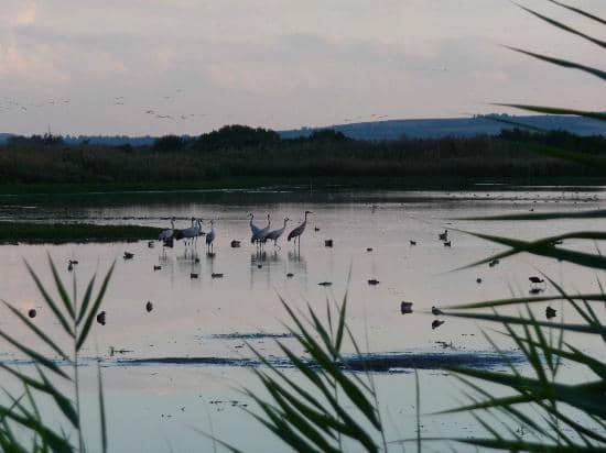Circular Walking Trail