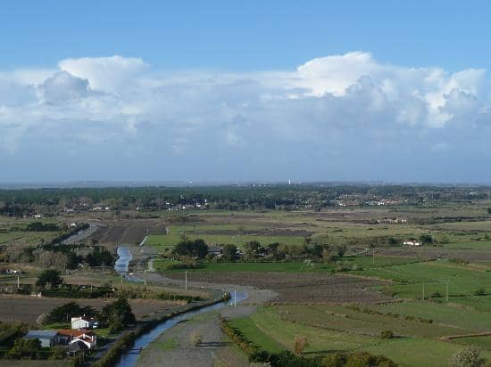 Water Usage Exhibits