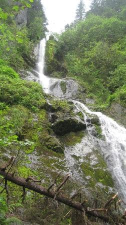 Vertical photo