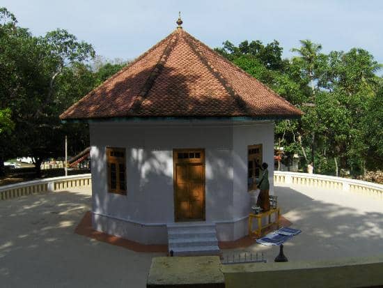 Panoramic Hilltop Views