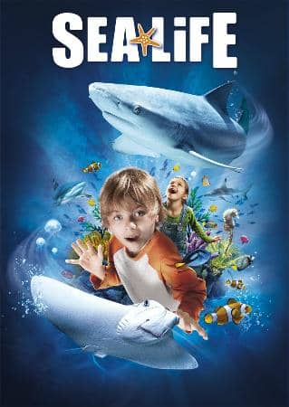 Meet the Seals and Otters