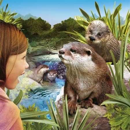 Playful Outdoor Climbing Park