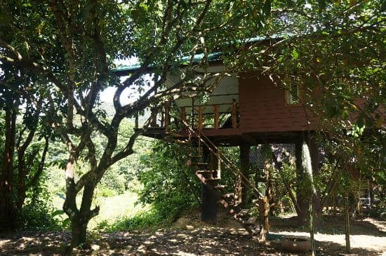 Limestone Karsts and Emerald Waters