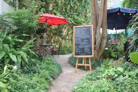 Charming Garden Ambiance