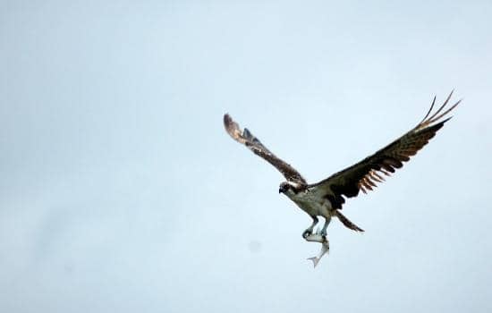 Early Christian Site