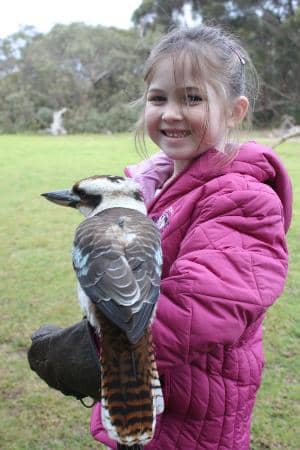 Private Bird Experience