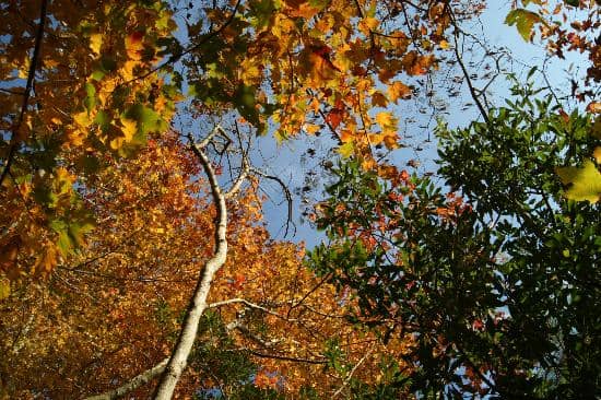 Community Playgrounds