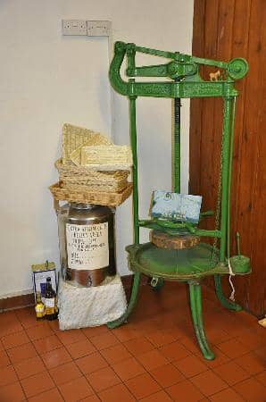 Street Food Delights