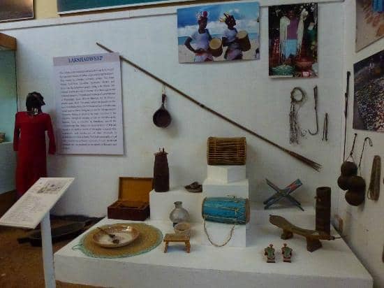 Tribal Habitat Exhibits