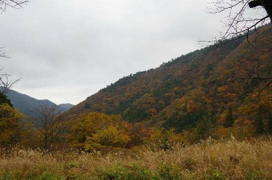 The Hike to the Falls