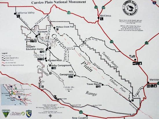 Native Grasslands & Wildlife