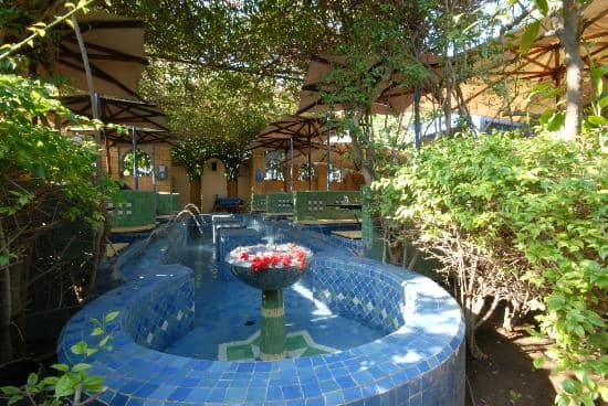 Enchanting Garden Setting