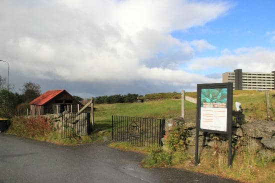 Authentic Longhouses