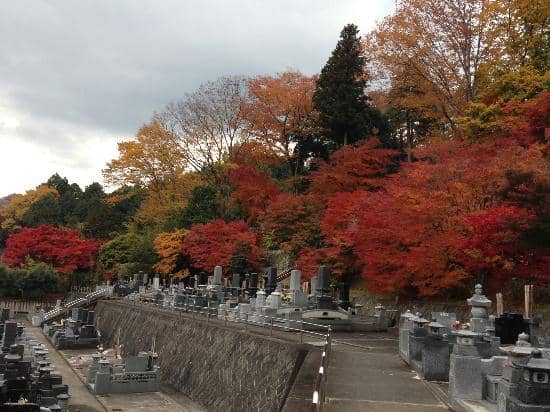 Serene Temple Grounds