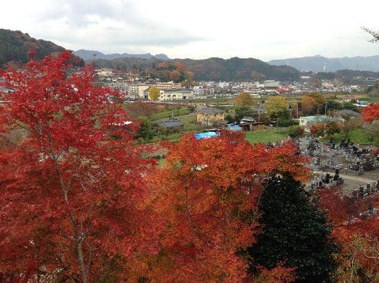 Kuji River Riverside Views
