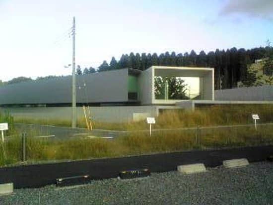 Serene Gallery Walks