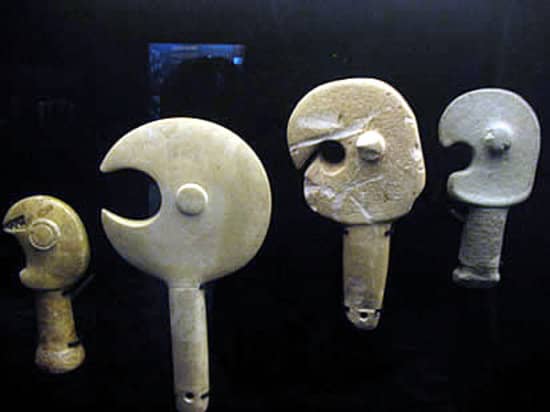 Natural History Collection